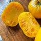 Dixie Golden Giant tomatoes photographed at Oak Summit Nursery.