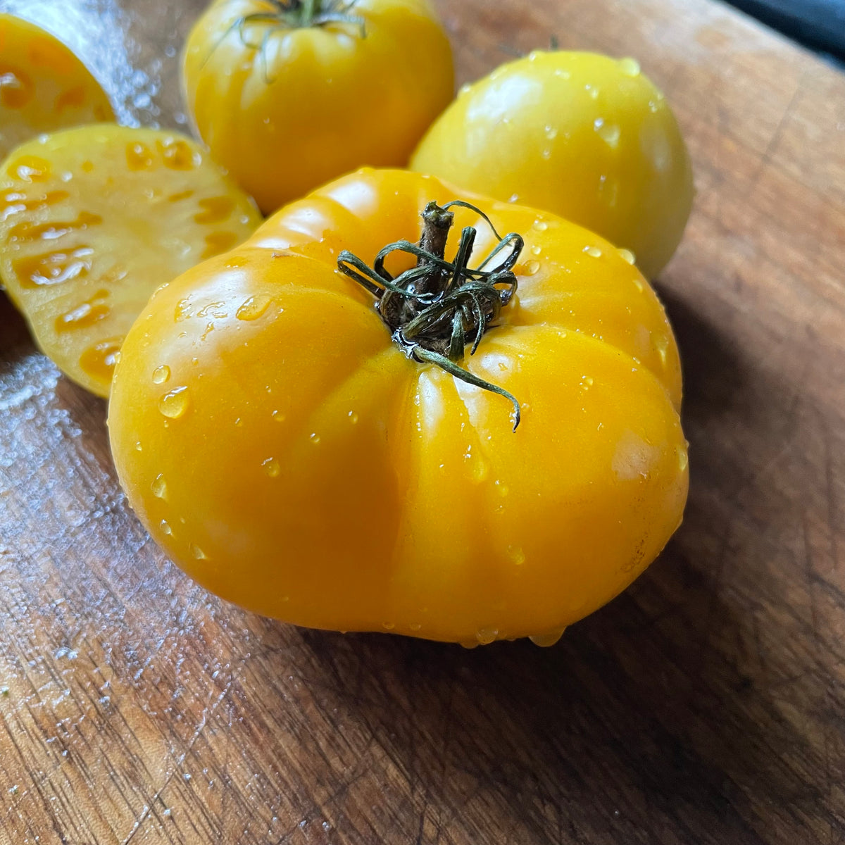Dixie Golden Giant tomatoes photographed at Oak Summit Nursery.