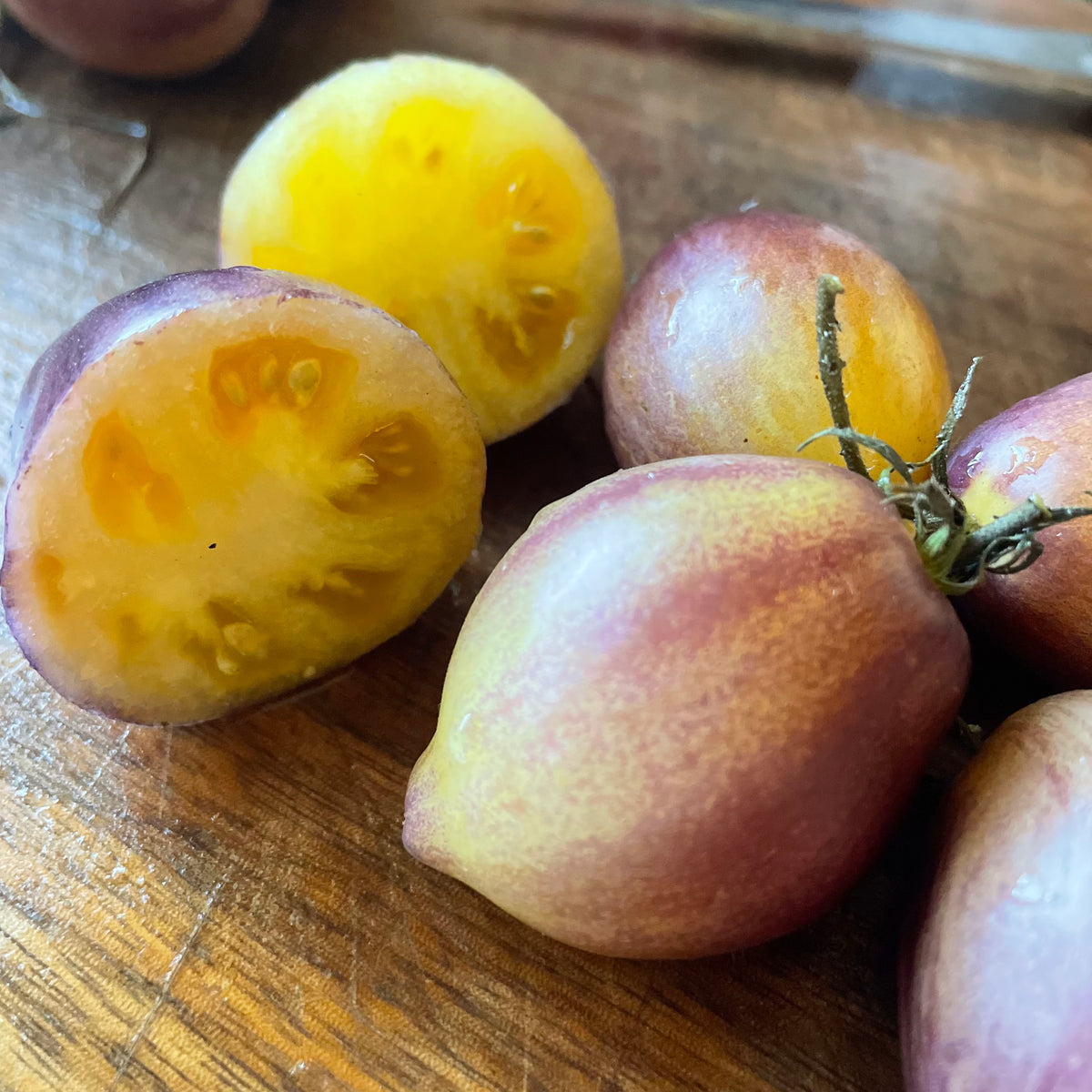 Rebel Starfighter Kayleigh Anne tomatoes photographed at Oak Summit Nursery.