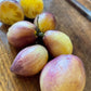 Rebel Starfighter Kayleigh Anne tomatoes photographed at Oak Summit Nursery.