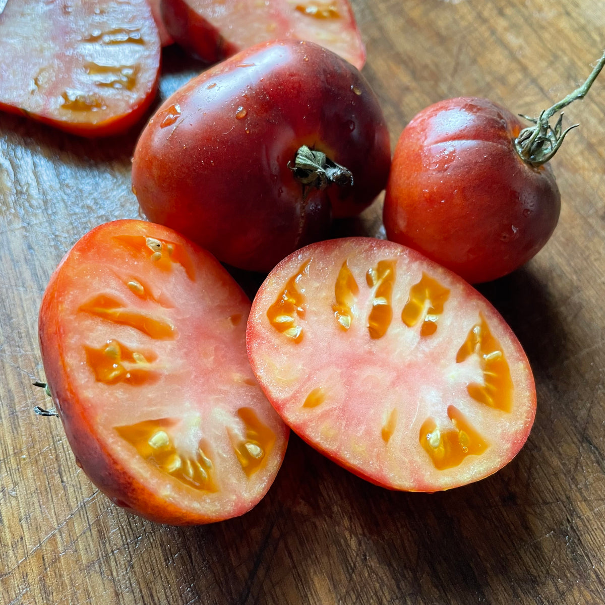 Lucid Gem tomatoes photographed at Oak Summit Nursery.
