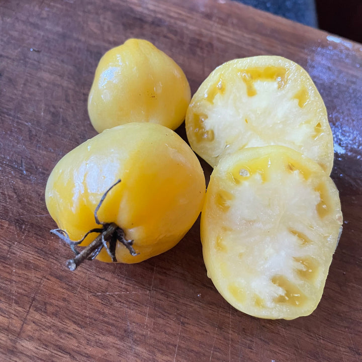 Dwarf Lemon Ice tomatoes photographed at Oak Summit Nursery.