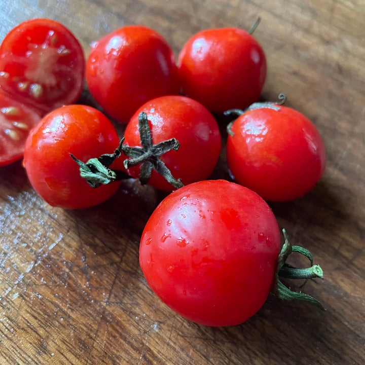 Stick tomatoes photographed at Oak Summit Nursery.