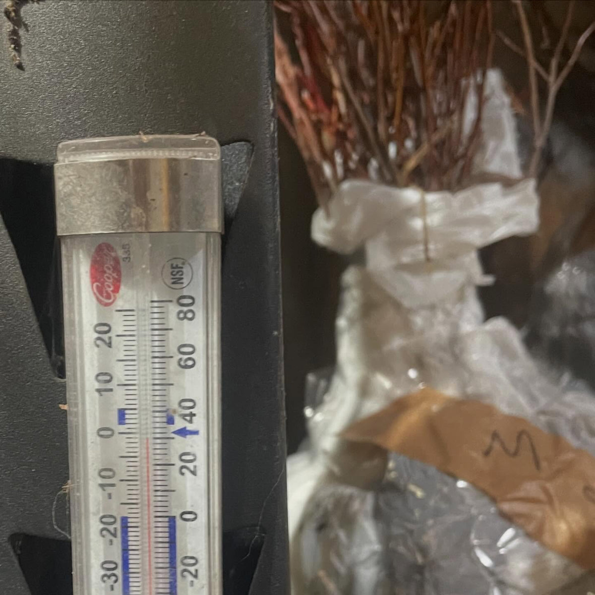 our root cellar is holding steady at -1C (30F)