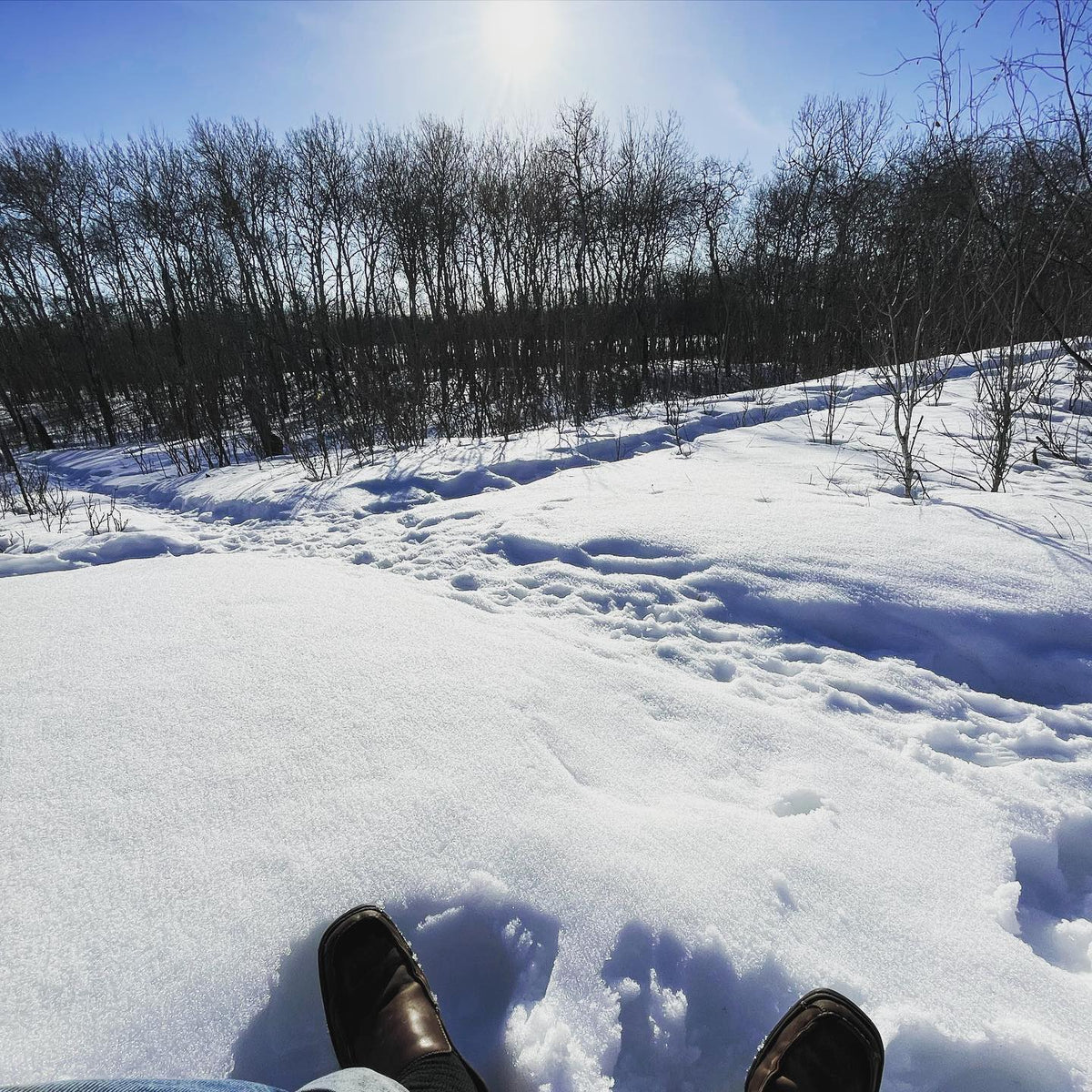 out for a walk, the trails have been packed down enough from my snow shoes and the deer that you can walk in regular