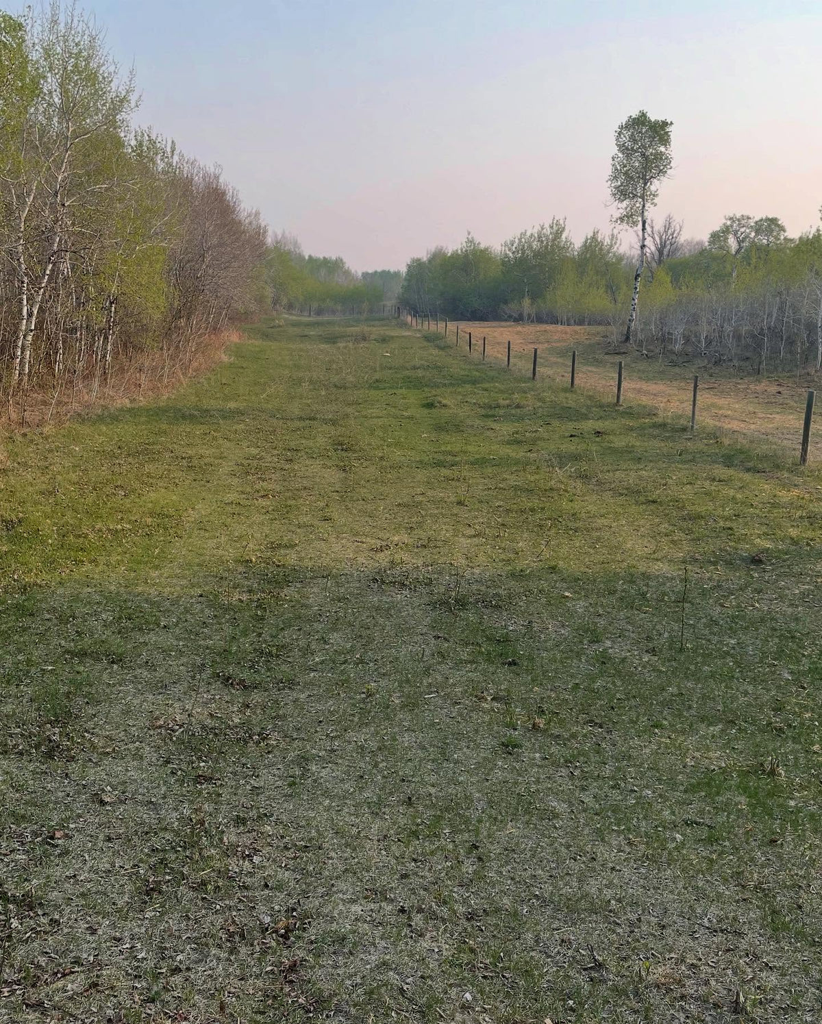out for a walk this morning, image 2 of 5