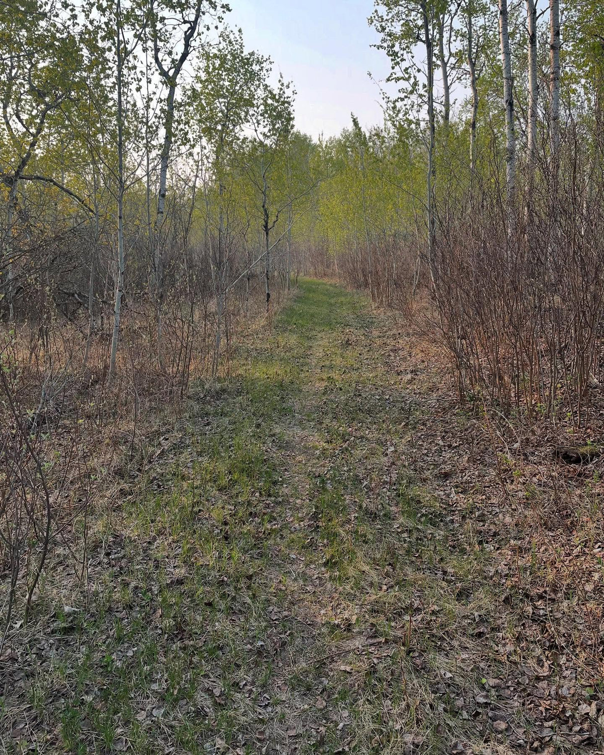 out for a walk this morning, image 5 of 5