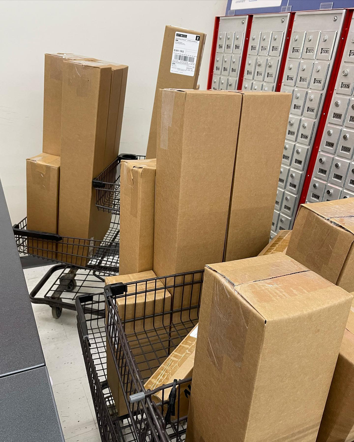 Packed most of our spring orders today, image 4 of 4
