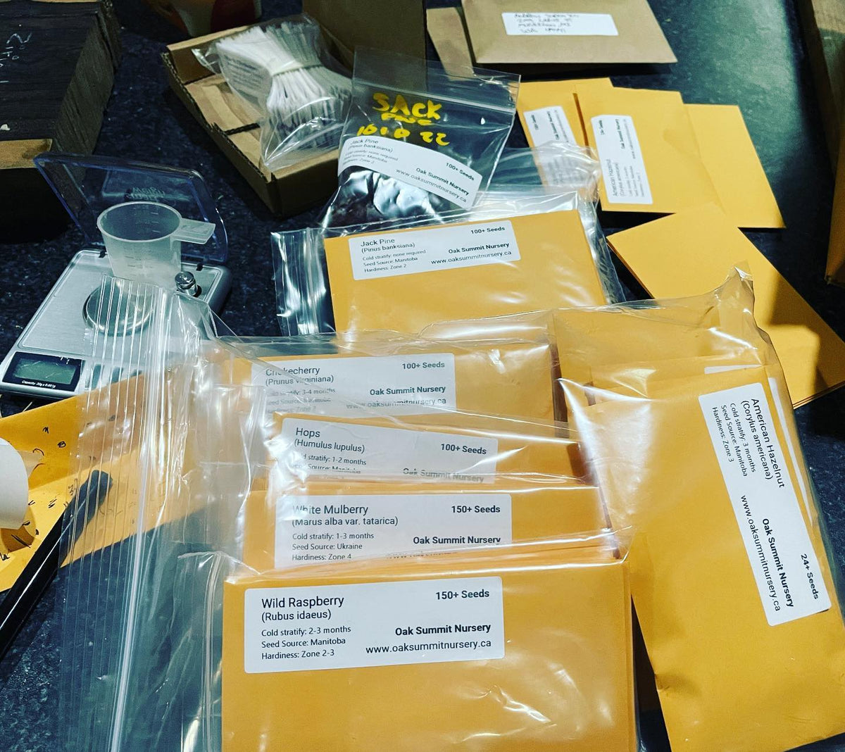 packing seed orders
