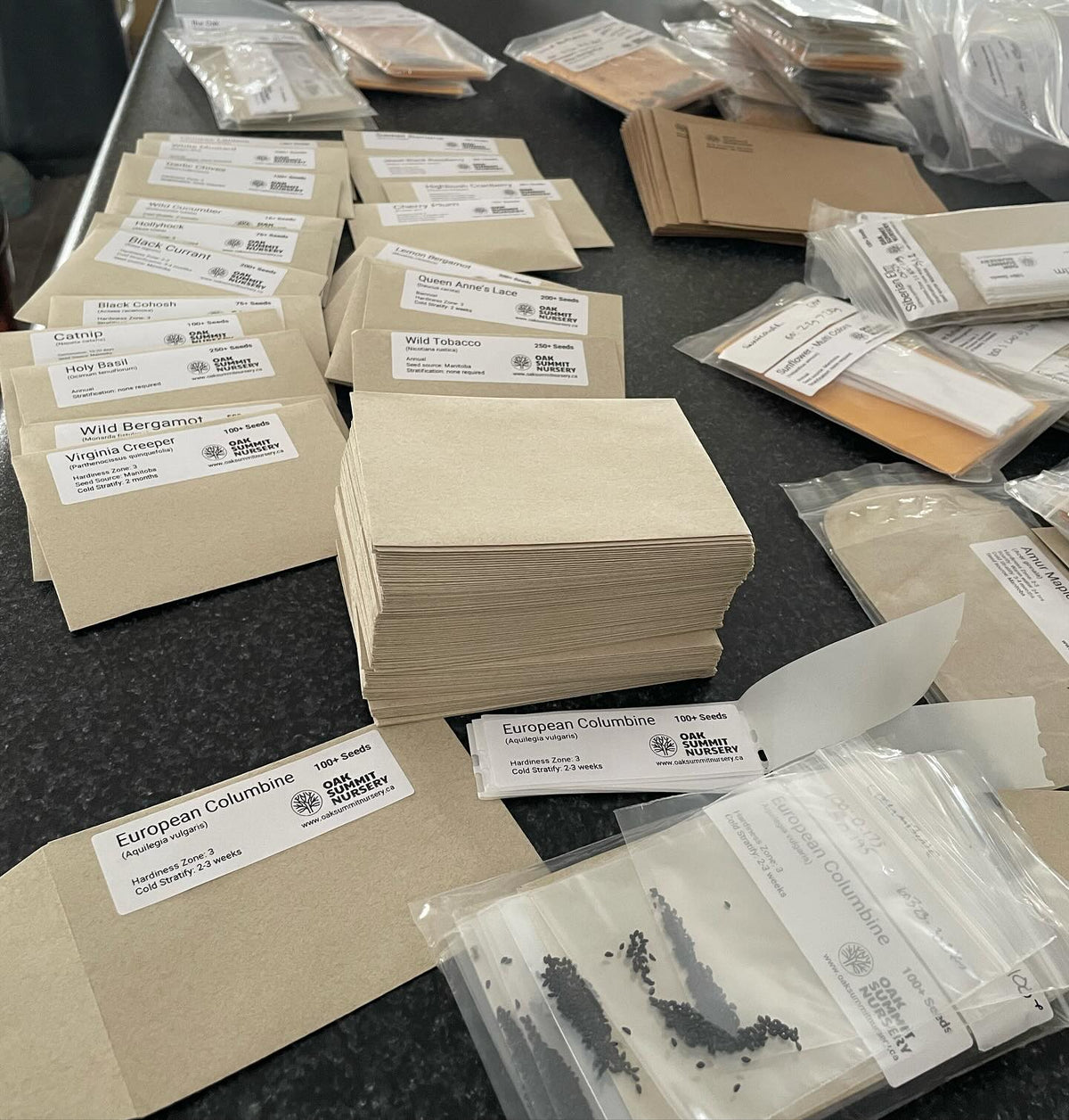 packing seed orders tends to sprawl across my kitchen island #seeds, image 1 of 3