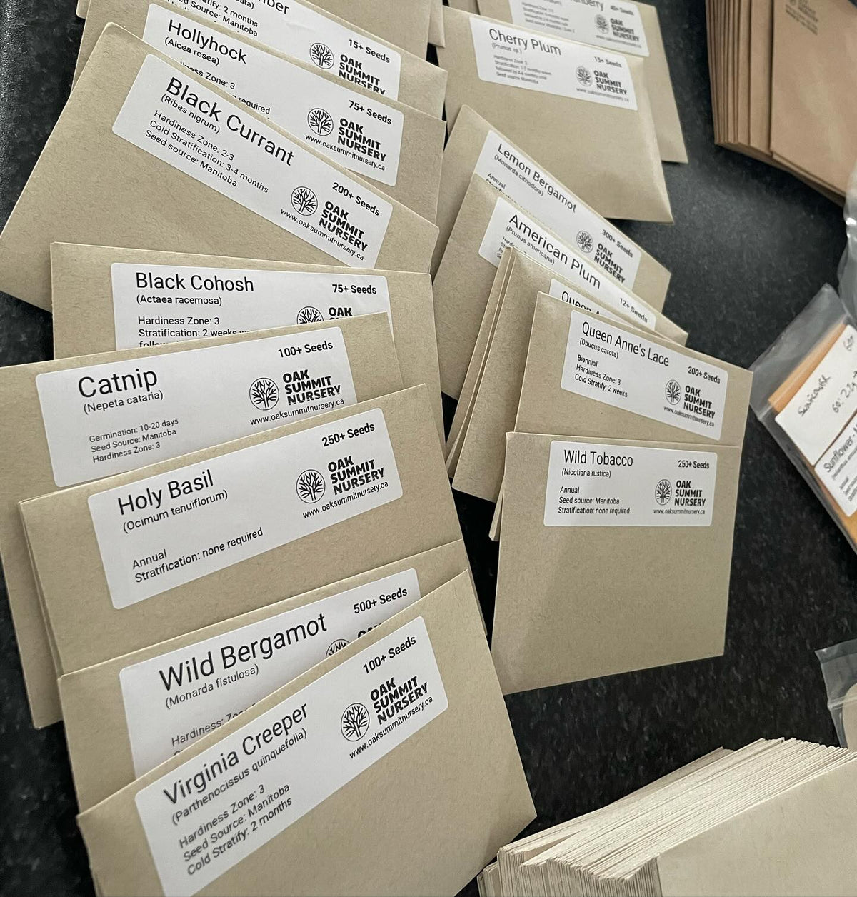 packing seed orders tends to sprawl across my kitchen island #seeds, image 2 of 3