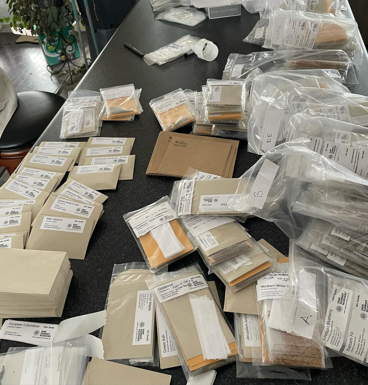 packing seed orders tends to sprawl across my kitchen island #seeds, image 3 of 3