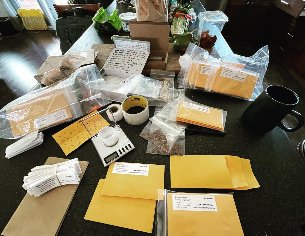 packing seed orders this morning