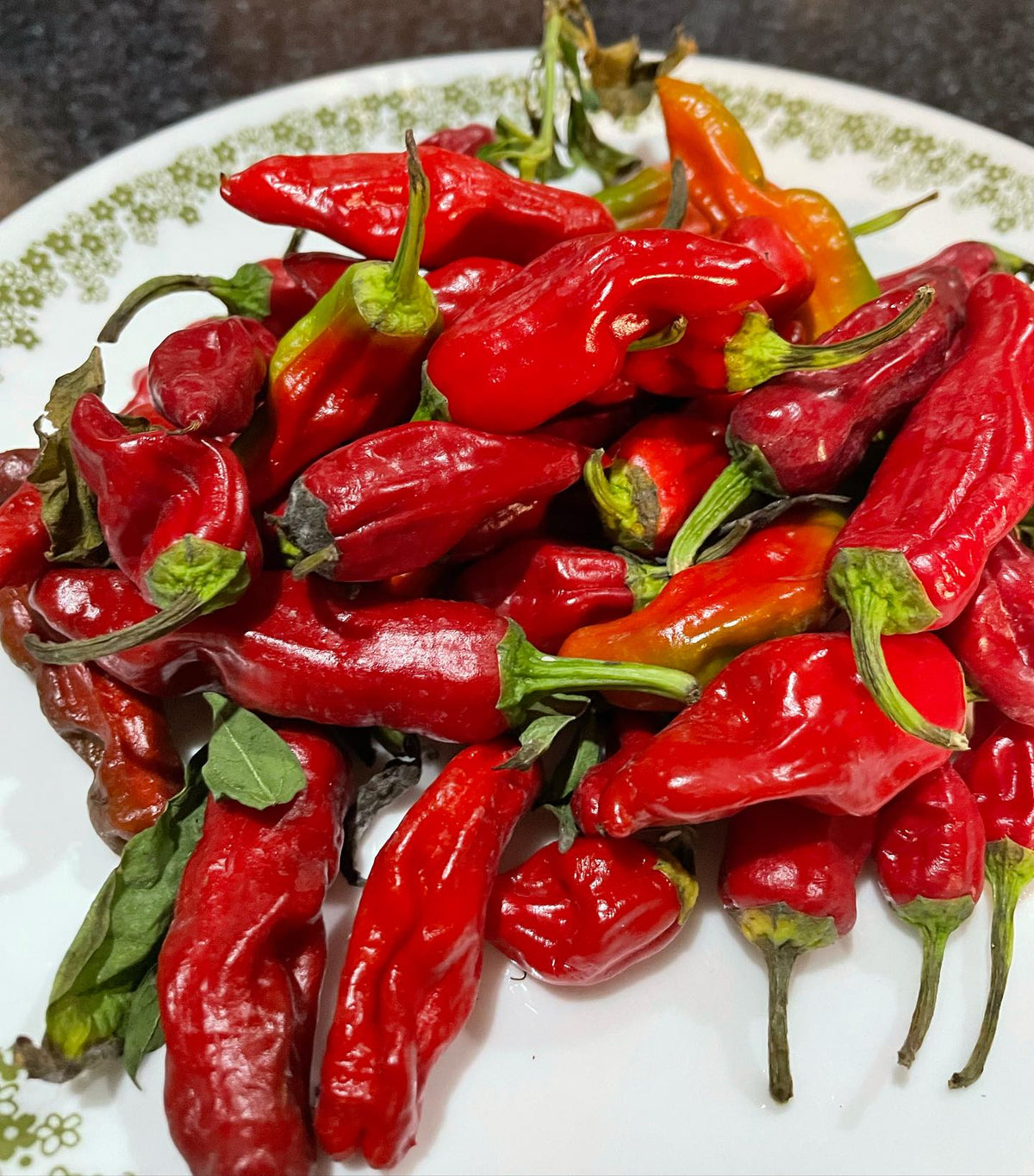 Pepperoncini, italian chilli peppers