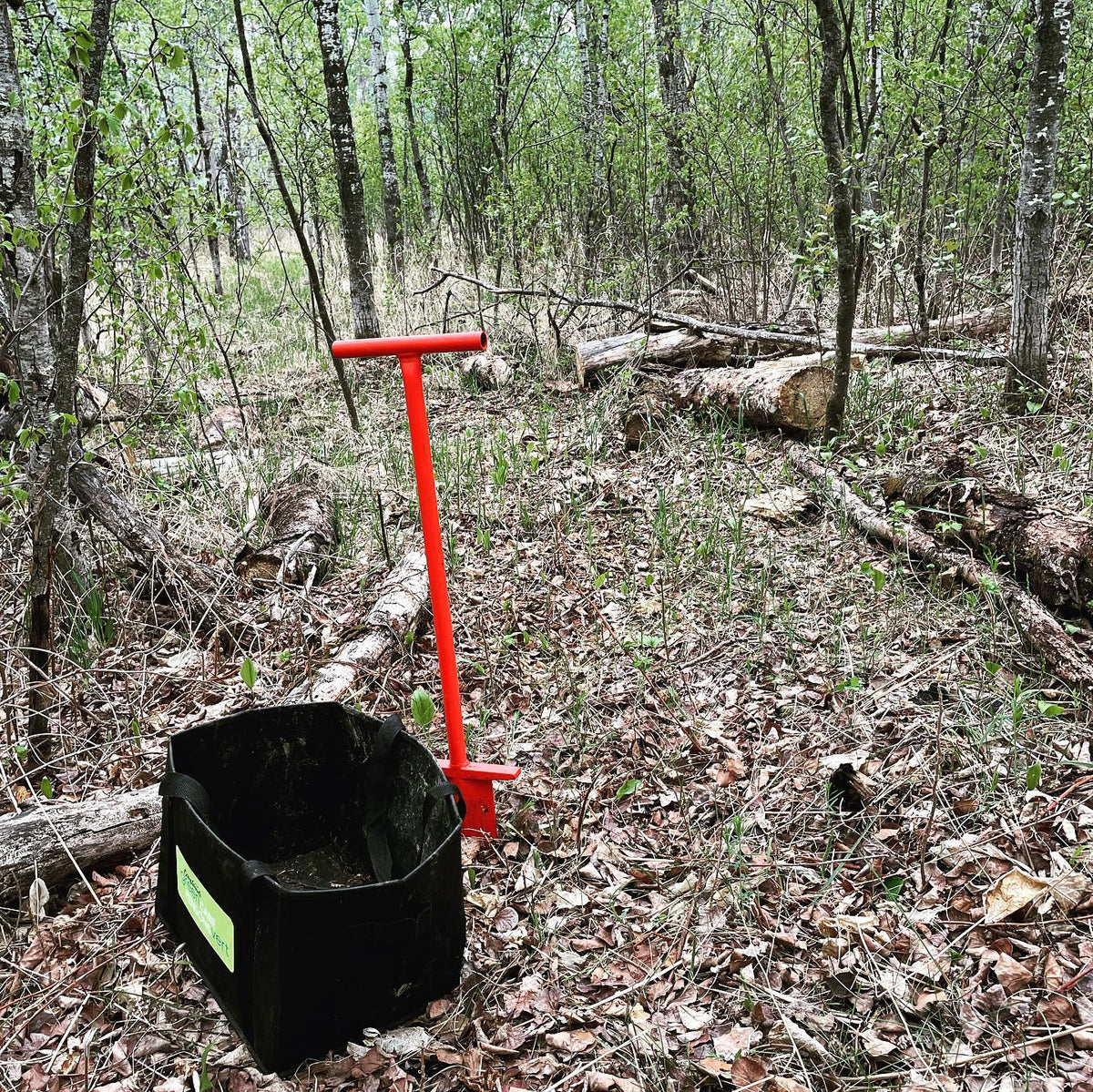 planting white spruce along a forest path today #silviculture #forest #treeplanting, image 1 of 2