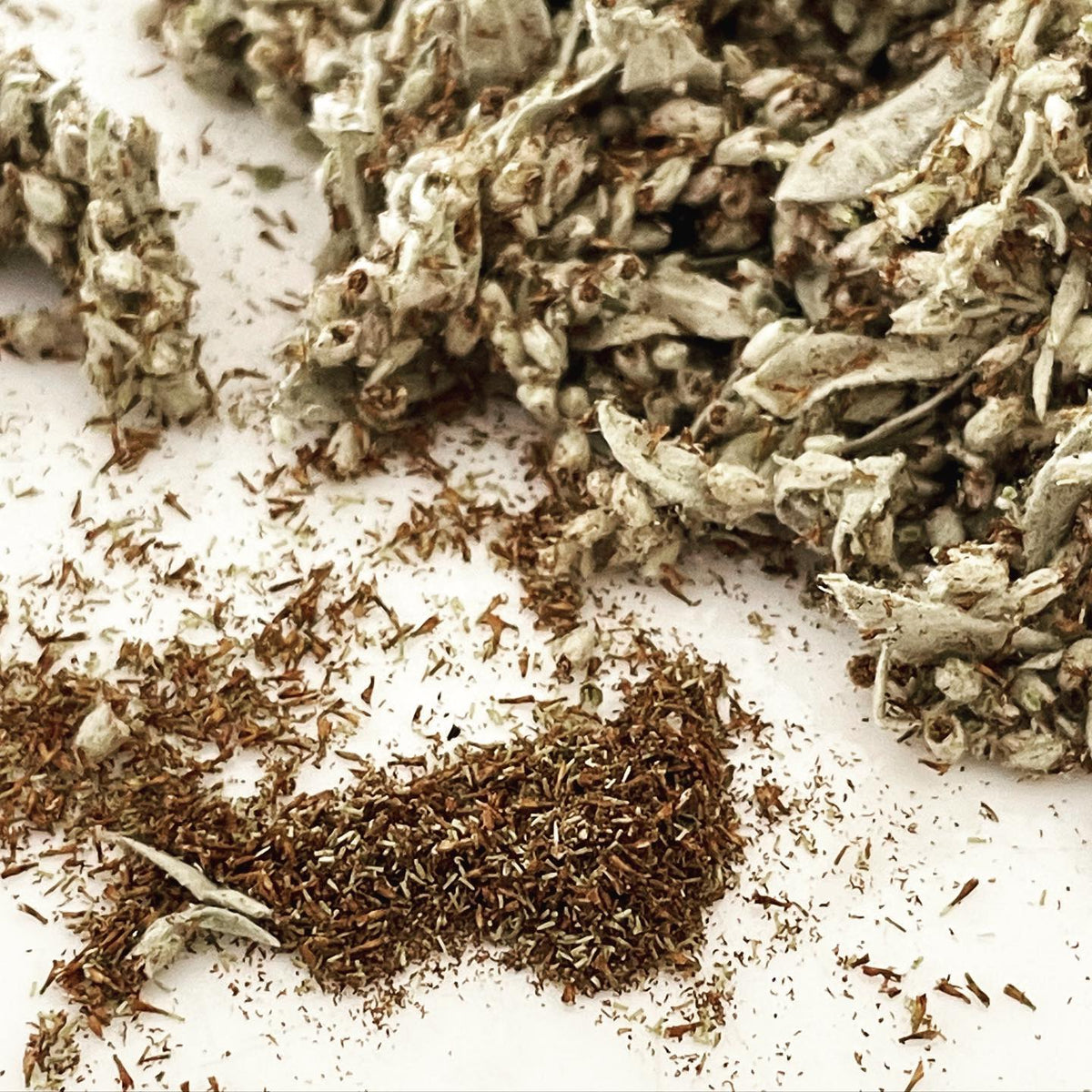 prairie sage seeds, not sure if I’ll be able to separate them from the plant material, image 1 of 2