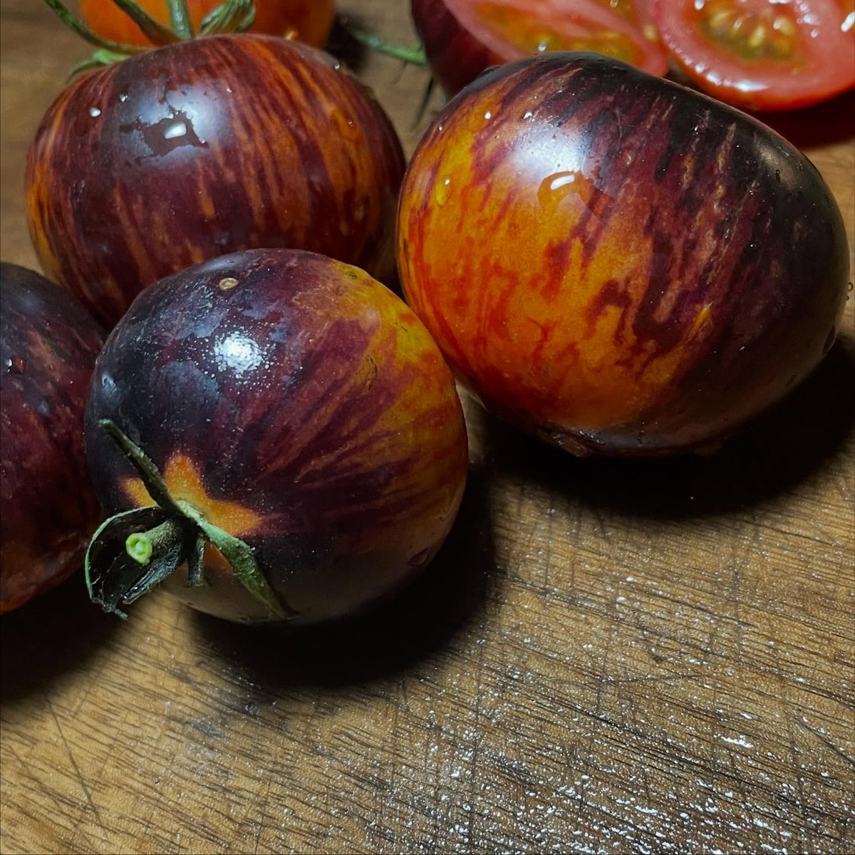 queen of the night tomato, such cool colors, image 1 of 3
