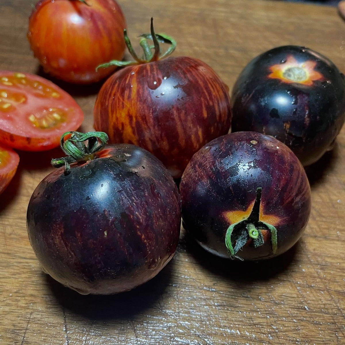 queen of the night tomato, such cool colors, image 3 of 3