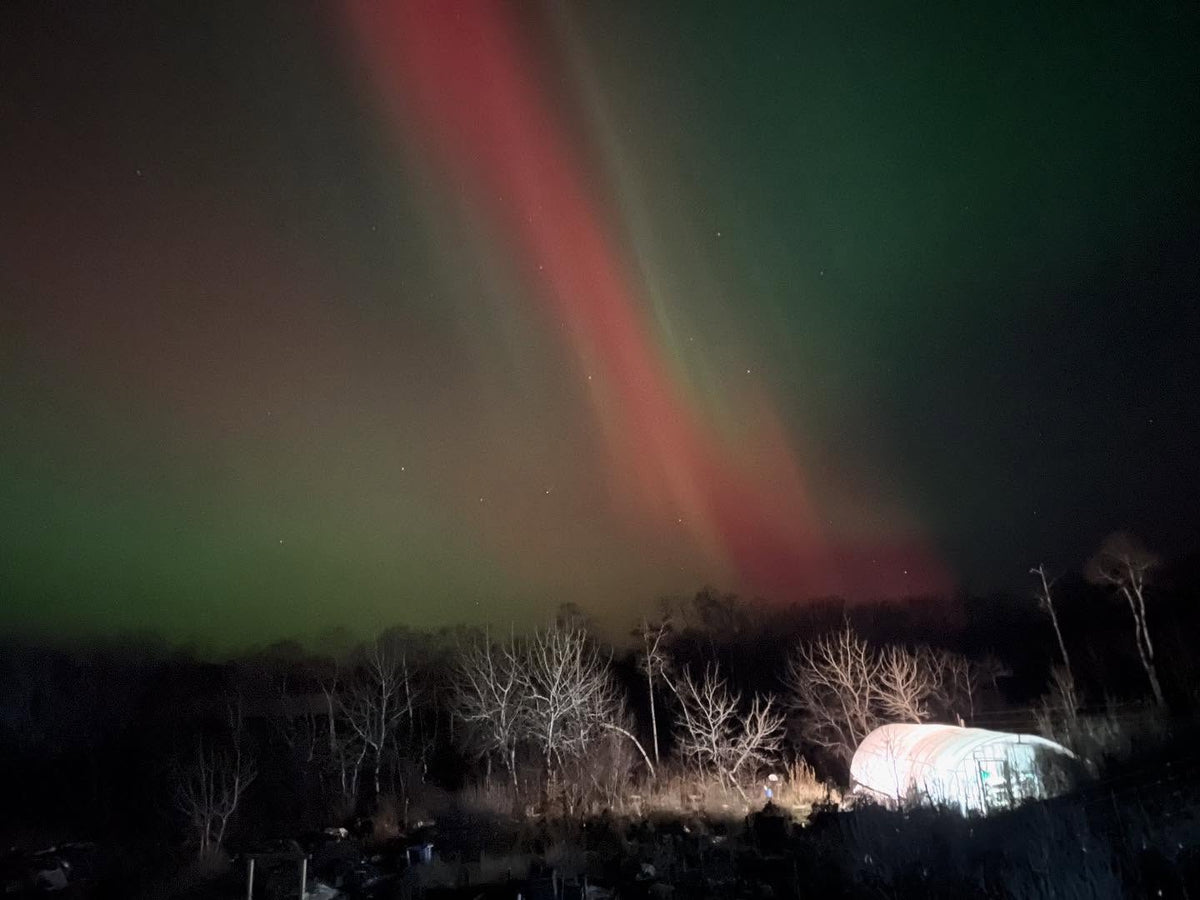 rare to see the red northern lights, went around us, this is facing southwest, image 1 of 2