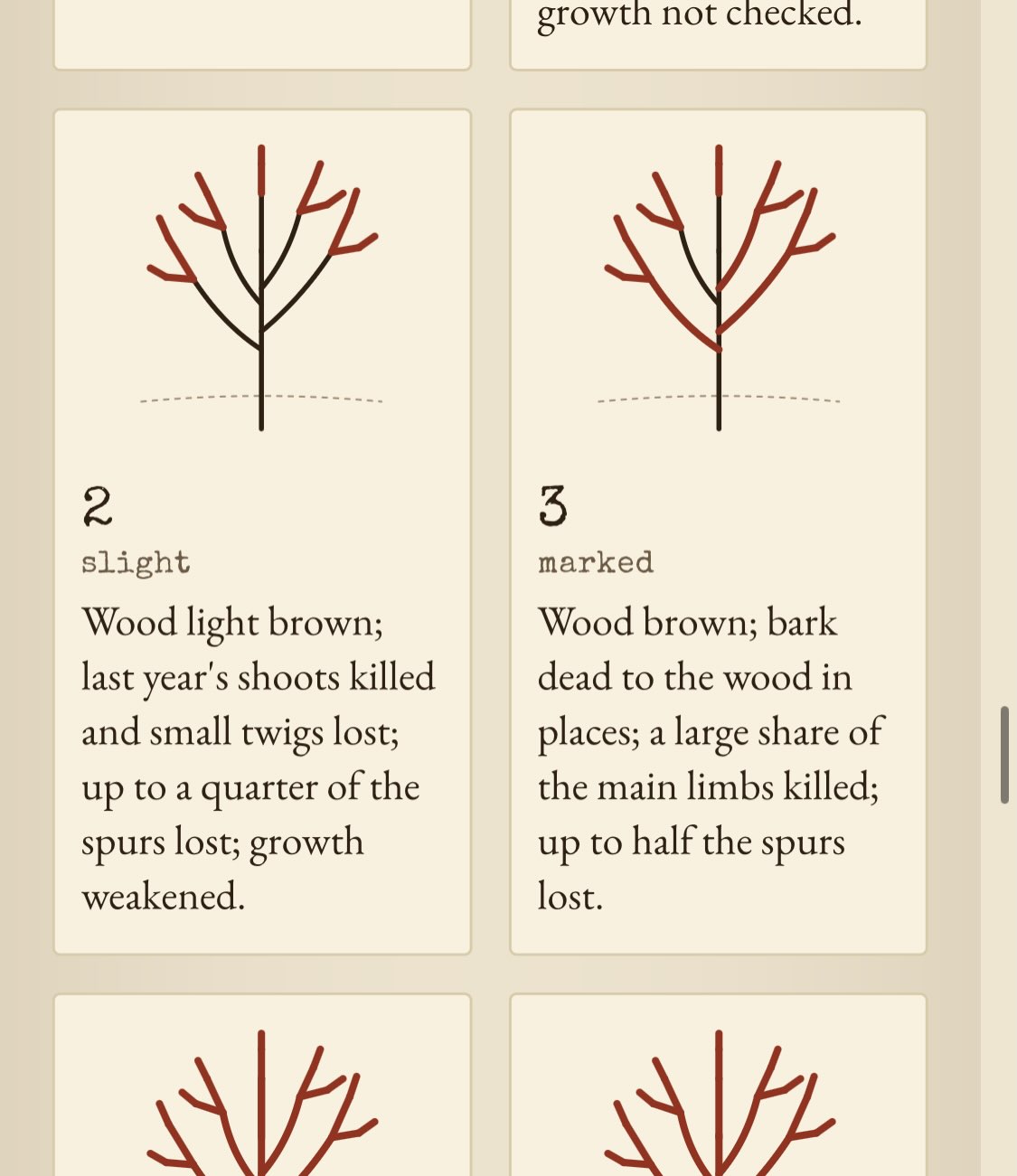 Page de Pomologica sur les dommages hivernaux, avec des schémas de branches pour les dommages légers et marqués et du texte explicatif.