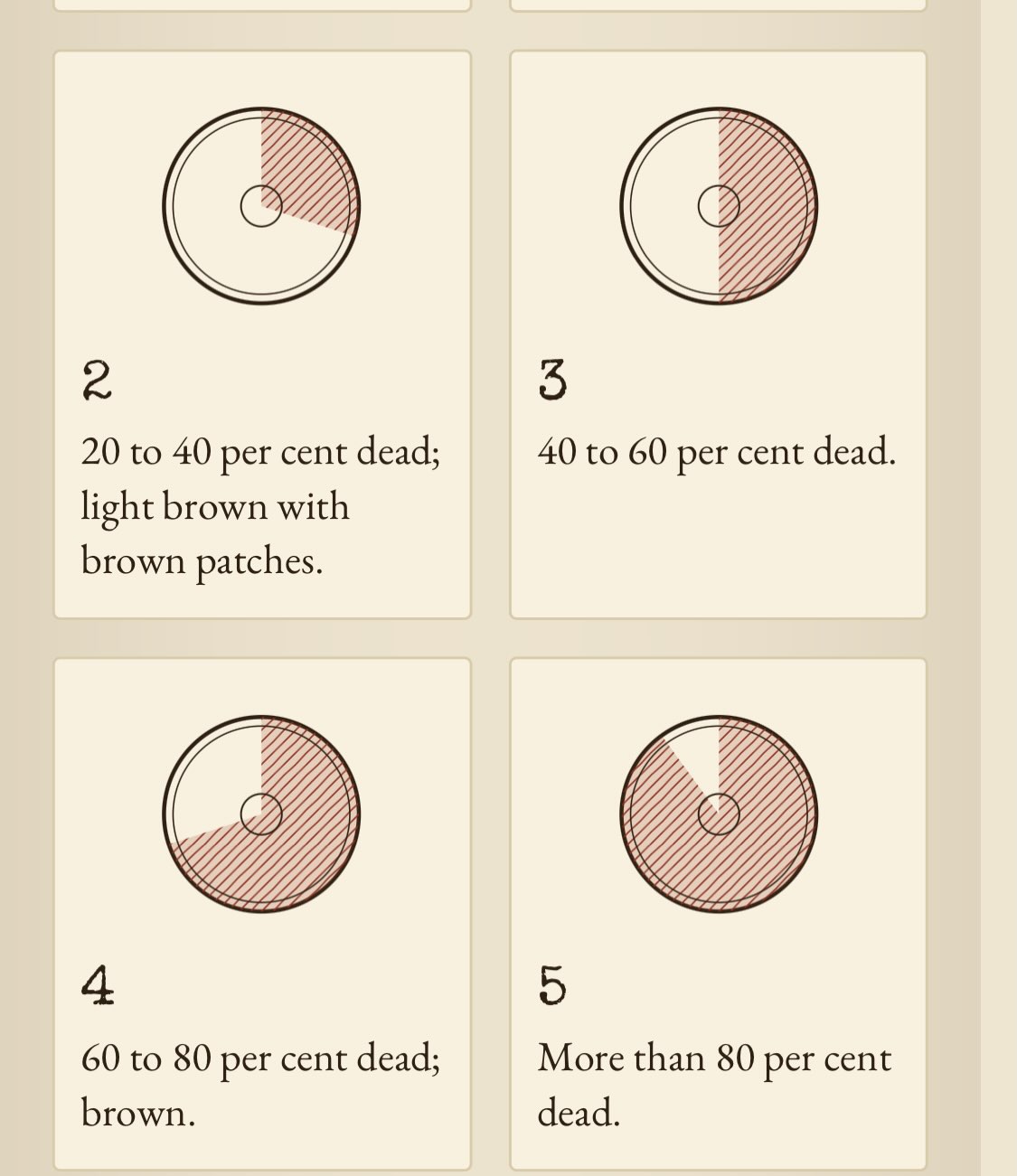 Quatre schémas de coupes transversales de rameaux illustrant des zones de tissus morts de plus en plus grandes lors d’un essai de congélation.