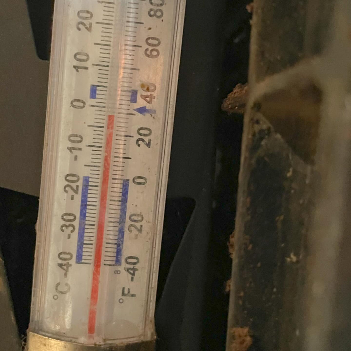root cellar is -2C (28F) today, image 2 of 3