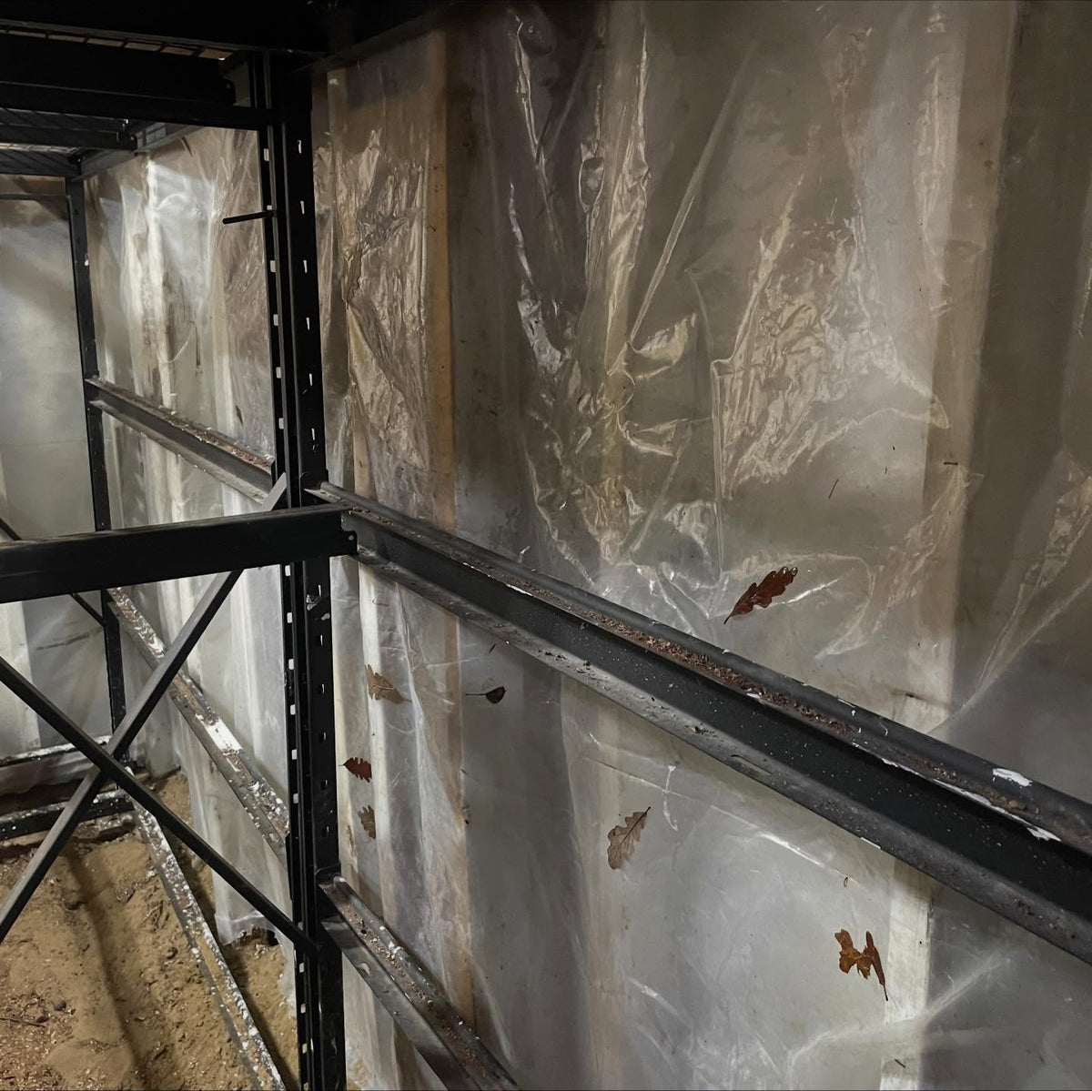 root cellar progress, image 4 of 4