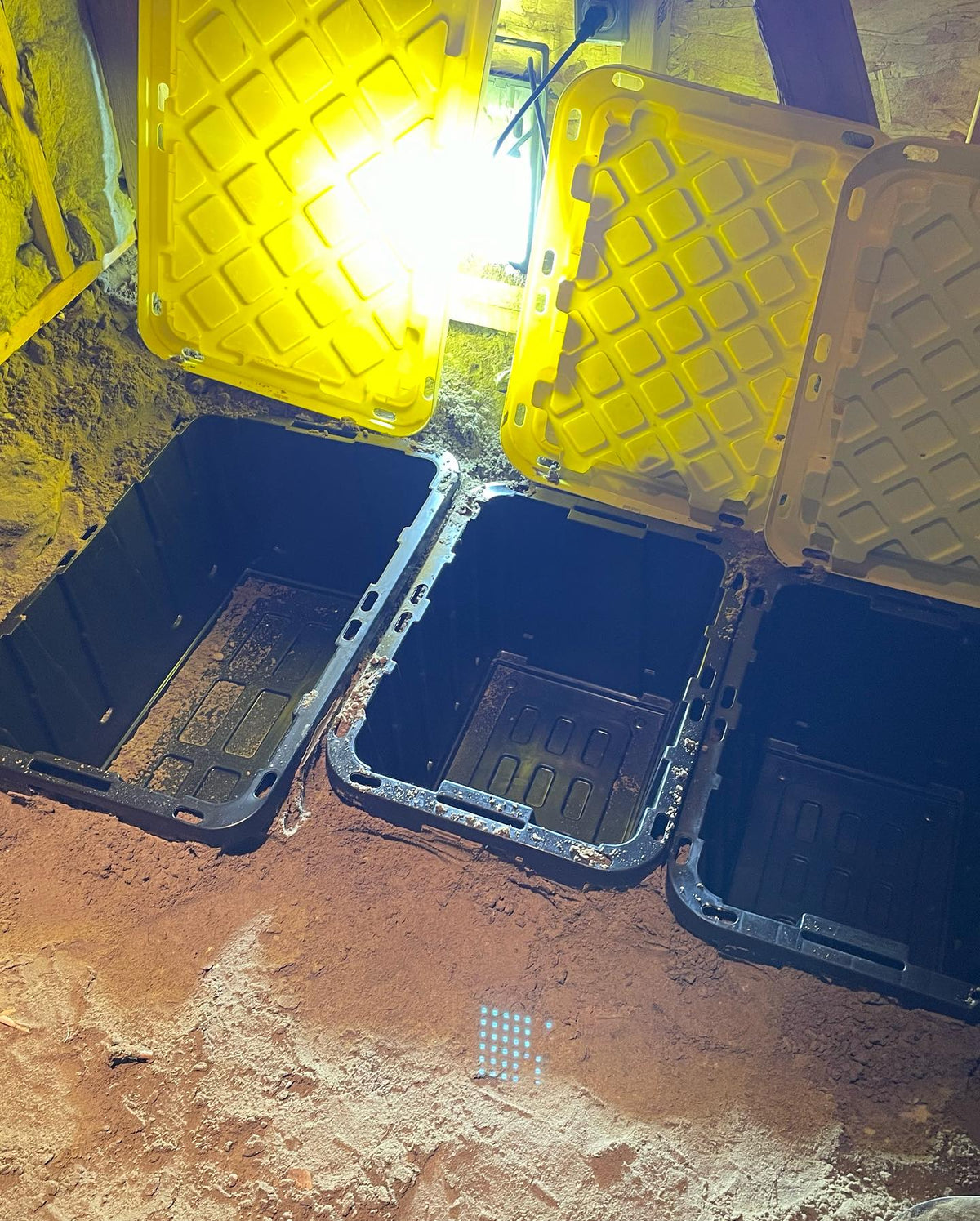 root cellar updates, inside is done, added some dug-in bins for nuts and scions to overwinter, image 3 of 5