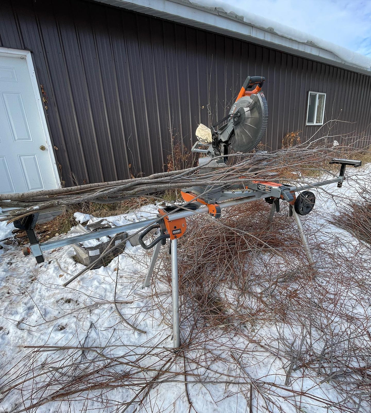 sandbar willow hardwood cuttings for a local riparian project with a landscaper, 48” poles, image 2 of 3