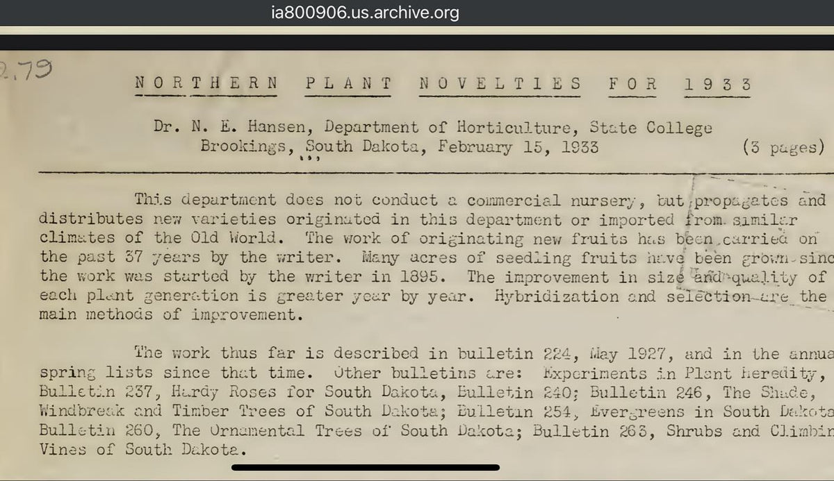Sanoba and Mana, a couple of cool hybrid sandcherries lost to time from this 1930s SD bulletin, image 2 of 2