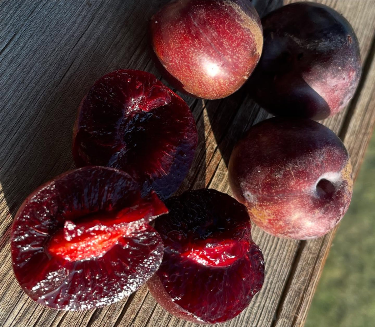 sapa cherry plum, image 2 of 4