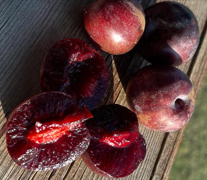 sapa cherry plum, image 2 of 4