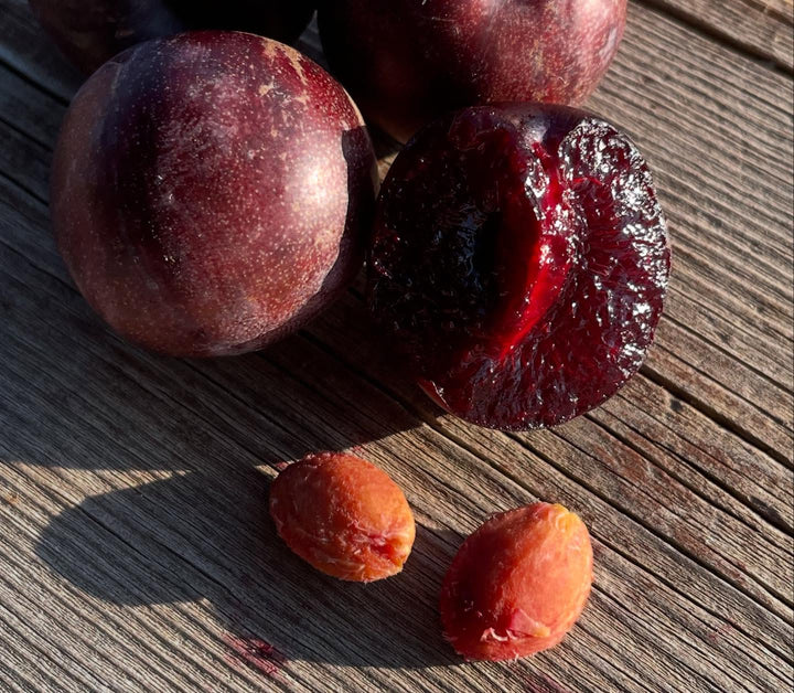 sapa cherry plum, image 3 of 4
