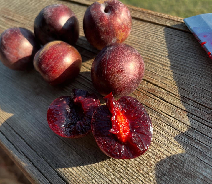 sapa cherry plum, image 4 of 4