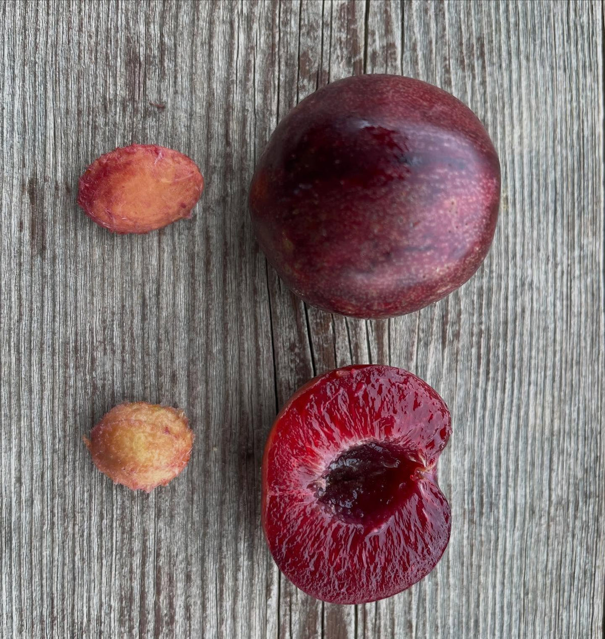 sapalta cherry plum, image 4 of 5