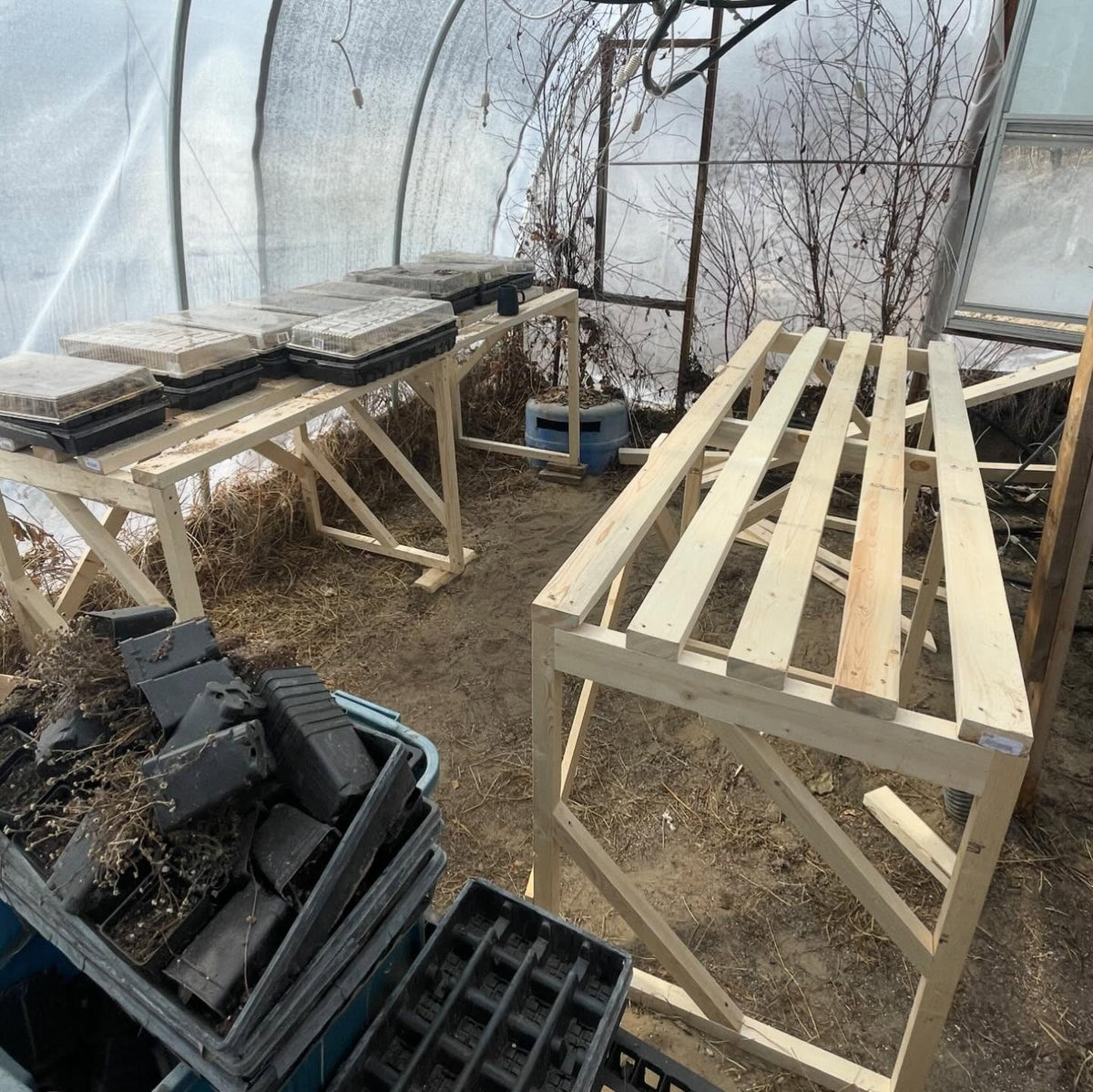 second bench assembled, image 1 of 2