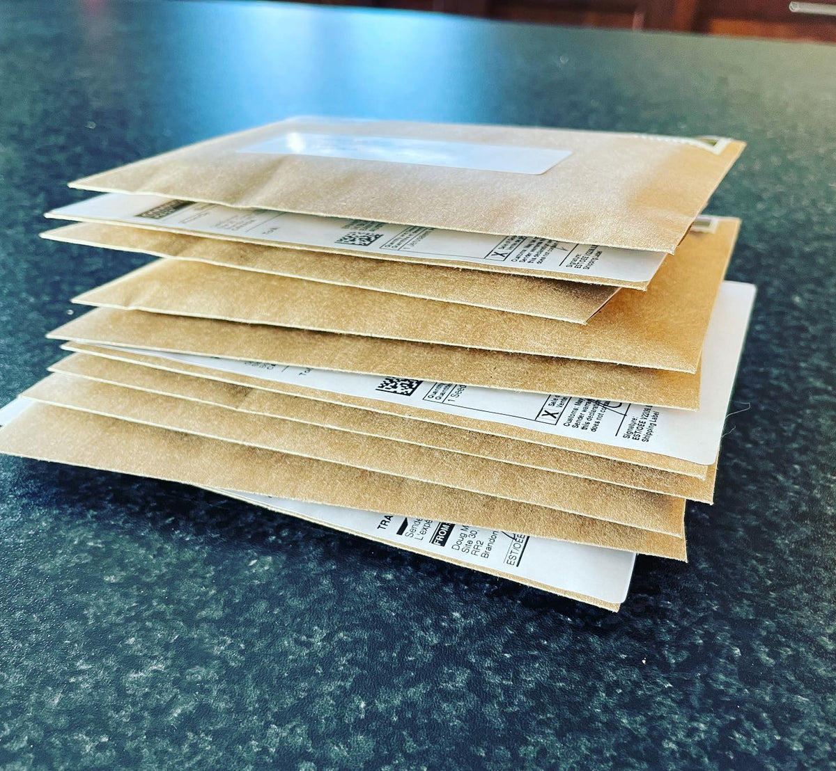 seed orders going out