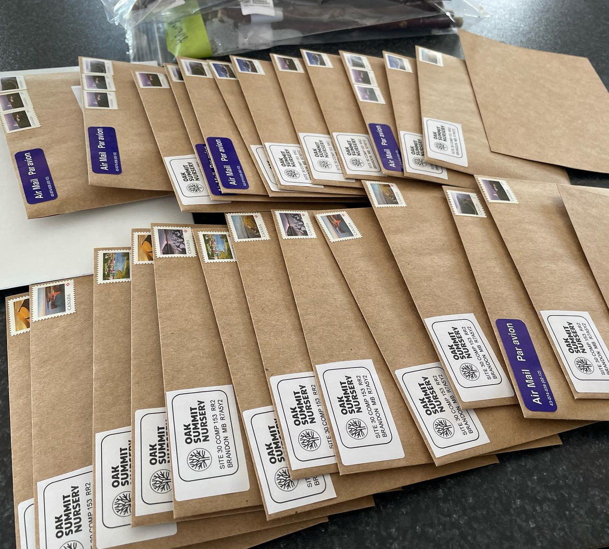 seed orders shipping out, my stamps king fu is getting better