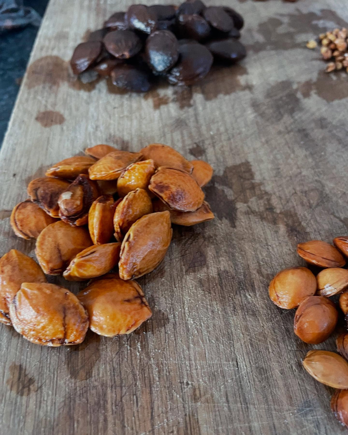 seed starting with a selection of prunus, image 3 of 9
