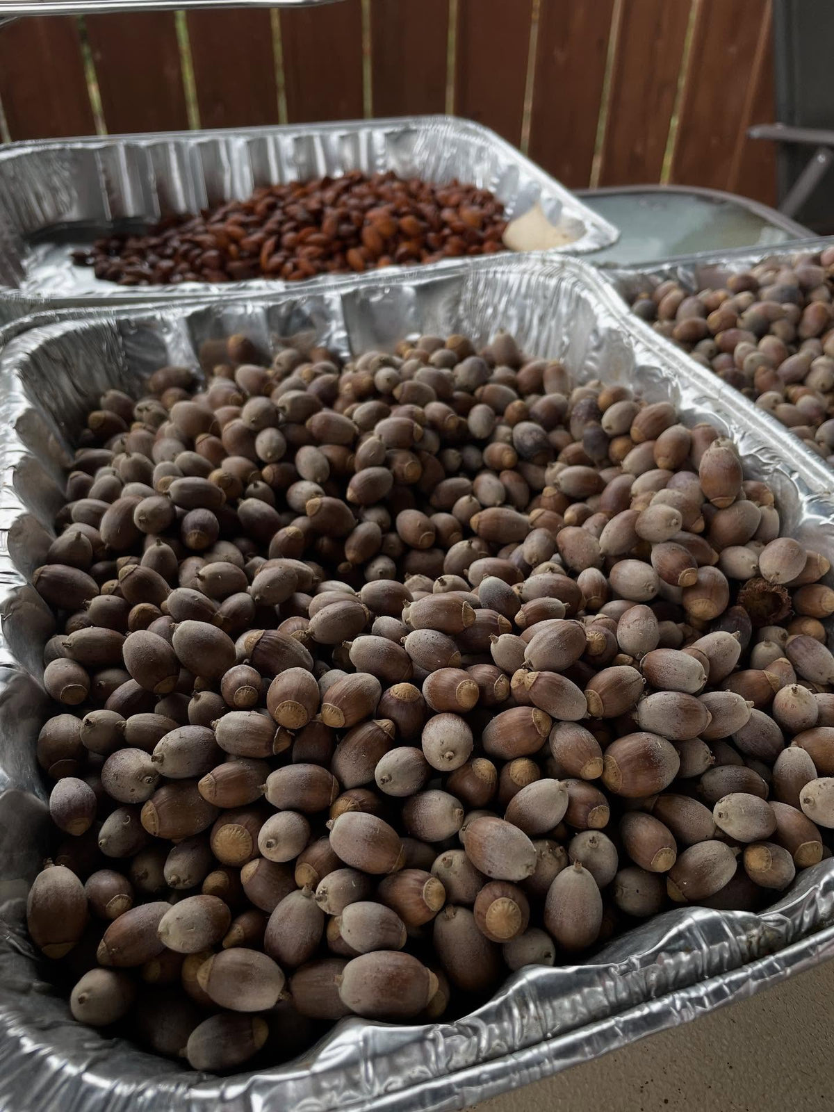 seeds drying, processing, image 3 of 8