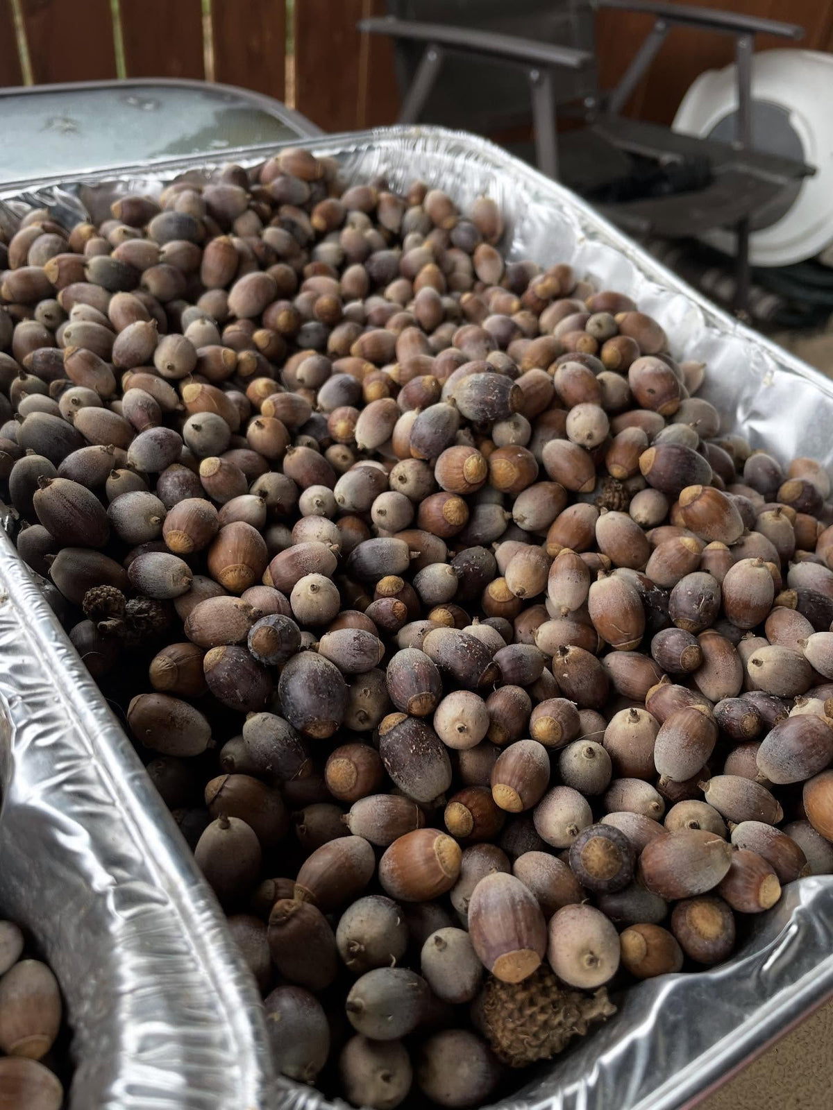 seeds drying, processing, image 4 of 8