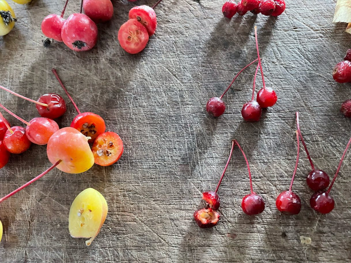 siberian crabapples collected from various trees at a few sites, image 2 of 3