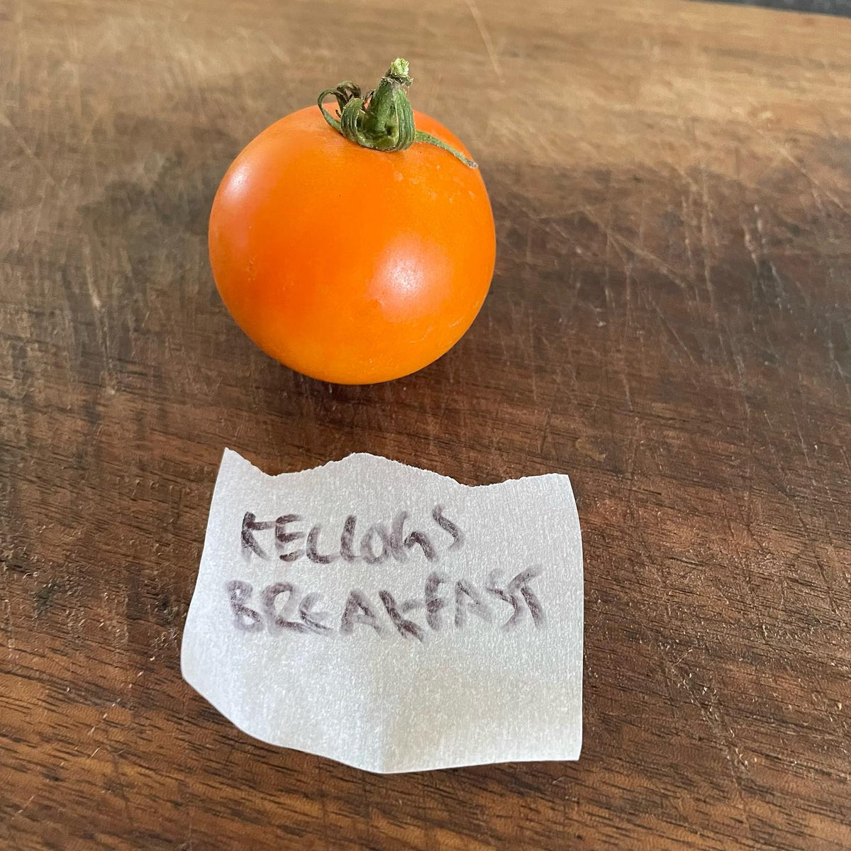 simple photos for my seed shop, just a cutting board by the sink done as seeds are removed, image 1 of 7