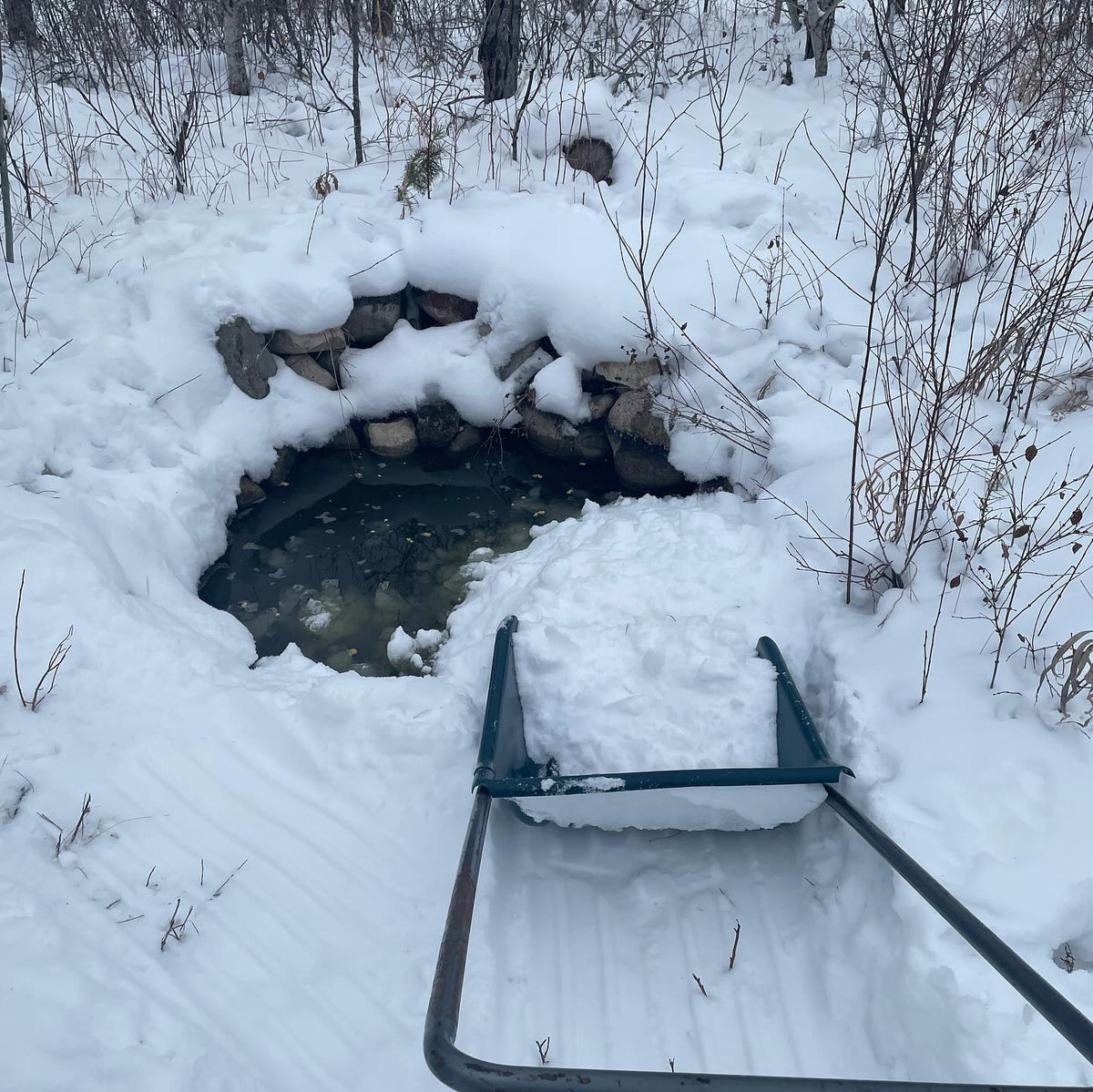 small fish ponds need a top up in the winter, they evaporate so a good strategy is to push snow in and let the heater, image 2 of 2