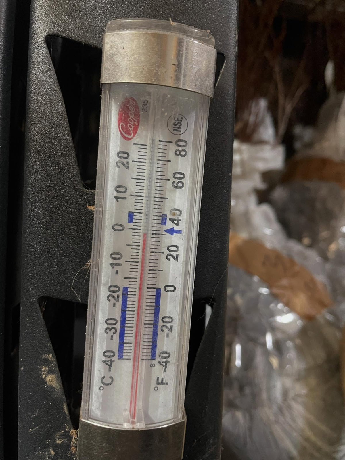 snowy walk to the root cellar in the greenhouse to check on things, monitor temperature and reset the mouse traps, image 6 of 6