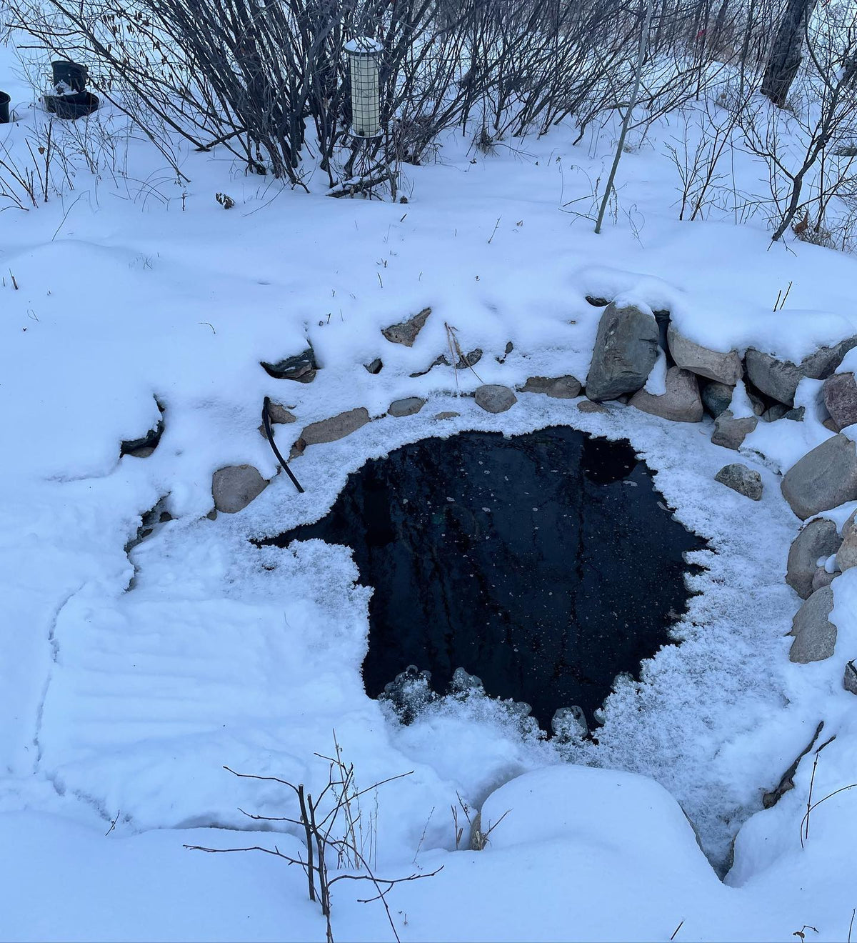 so far our pond is keeping thawed with its 16 goldfish all surviving