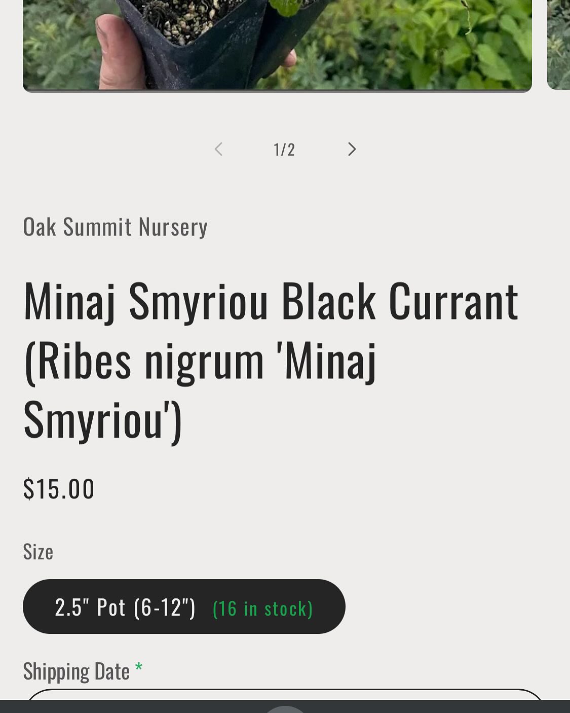 some custom liquid and javascript to show live stock amounts, image 1 of 6