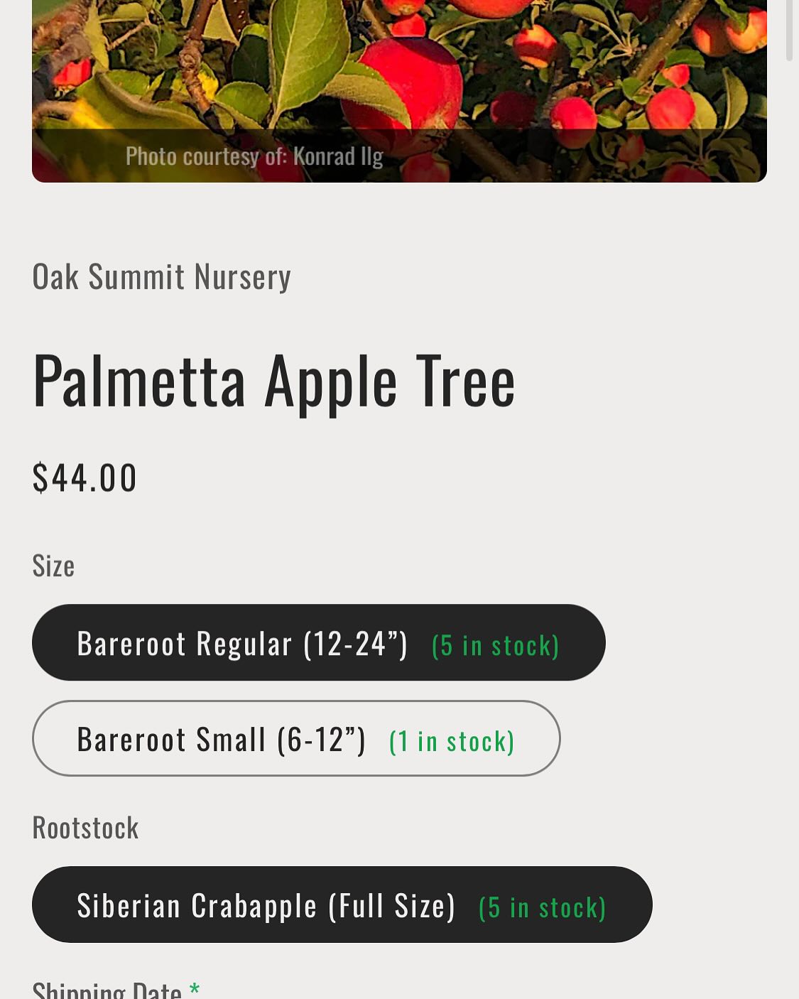 some custom liquid and javascript to show live stock amounts, image 2 of 6