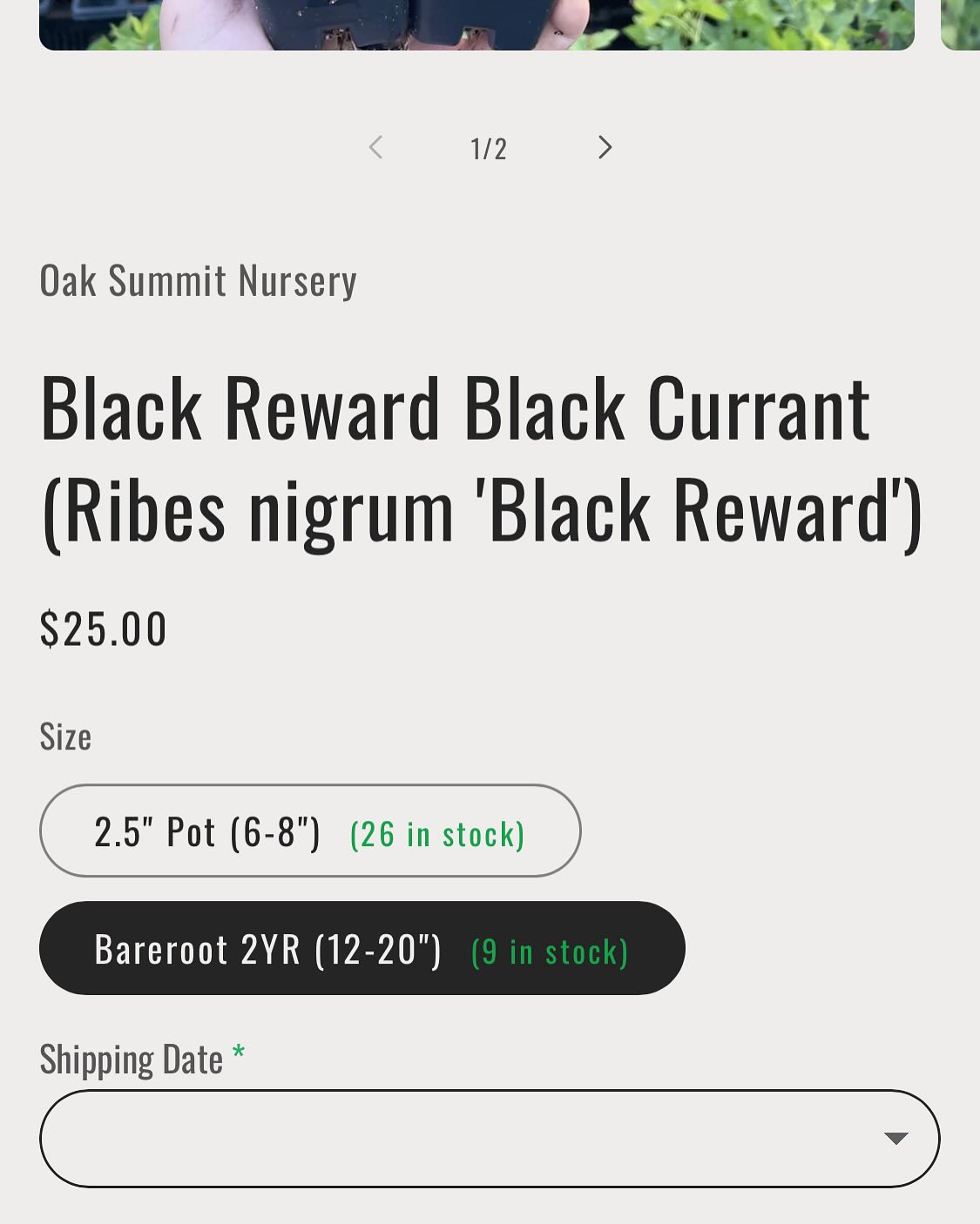 some custom liquid and javascript to show live stock amounts, image 4 of 6