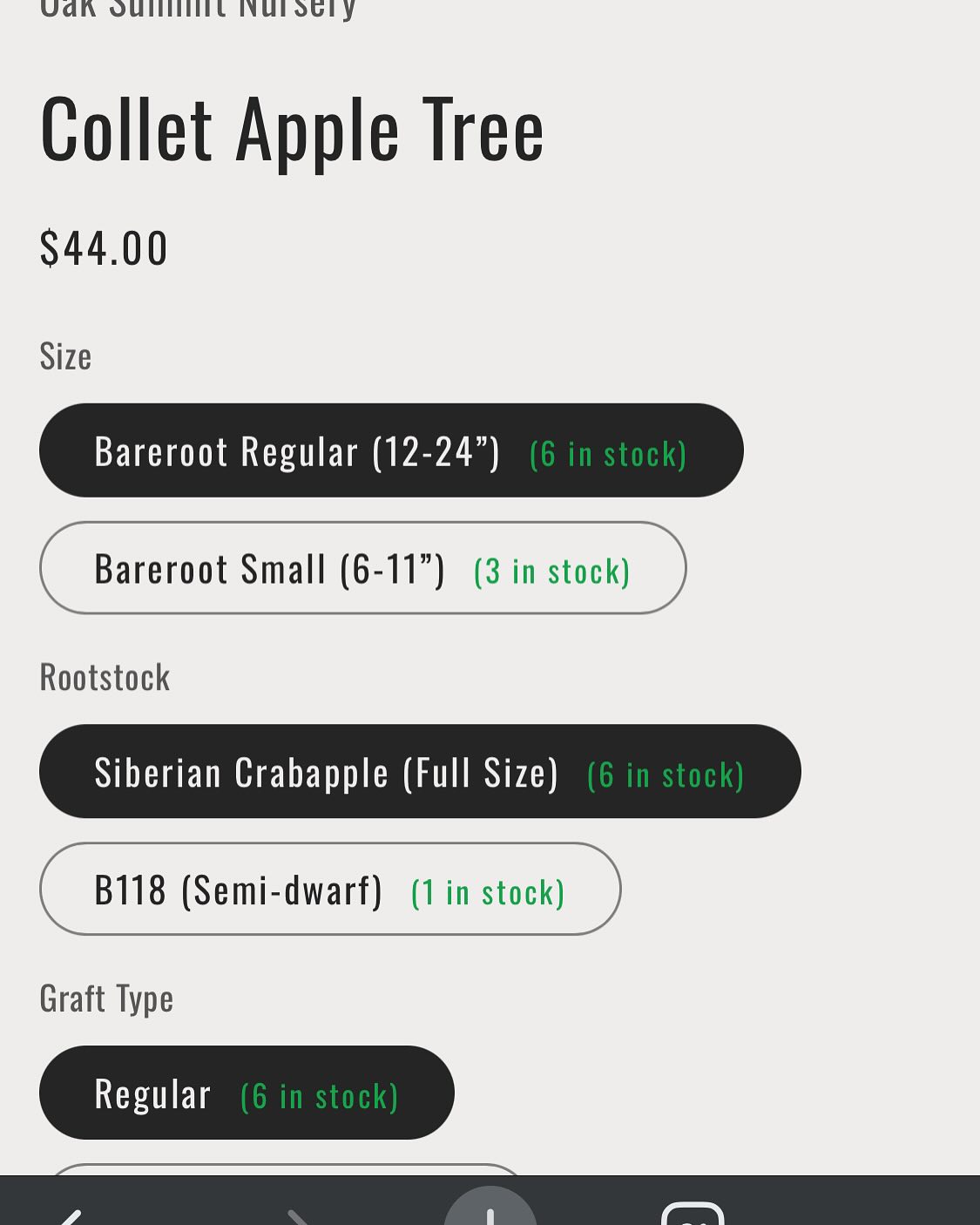 some custom liquid and javascript to show live stock amounts, image 6 of 6
